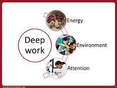 Finding Focus 4