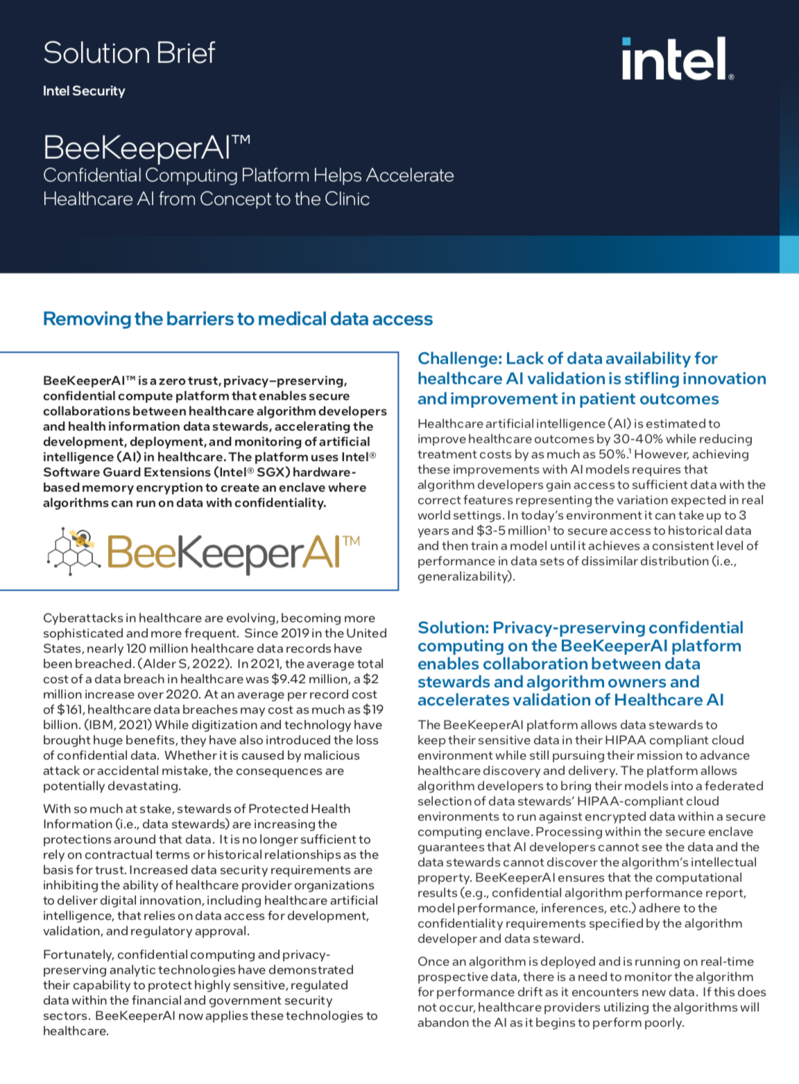 Intel Solution Brief BeeKeeperAI™