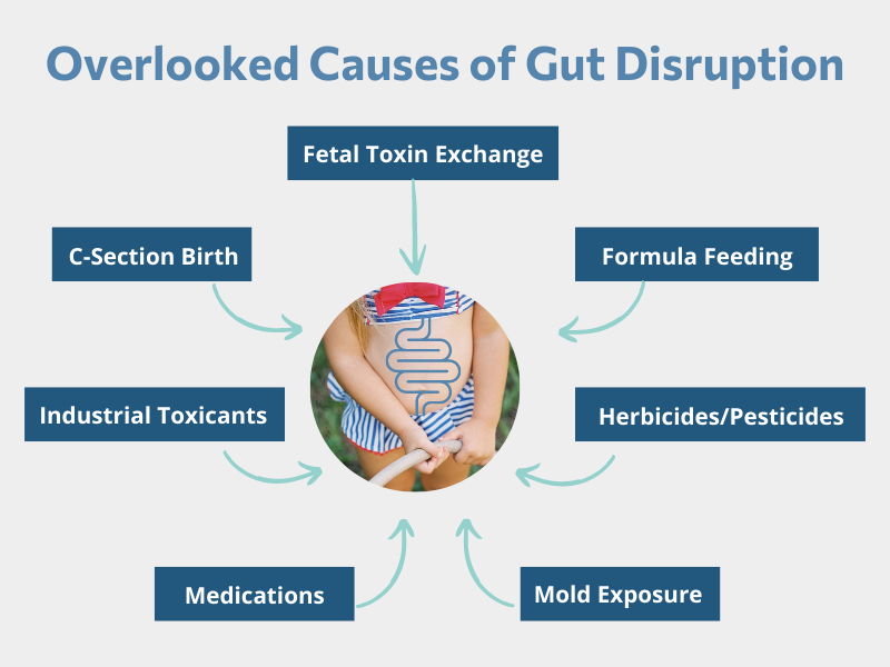 Overlooked Causes of Gut Disruption Graphic