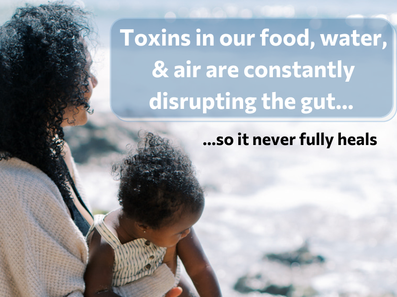 Toxins in our food, water, and air 