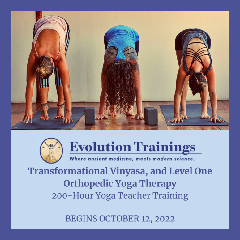 2023 Yoga Teacher Training: Plymouth, MA