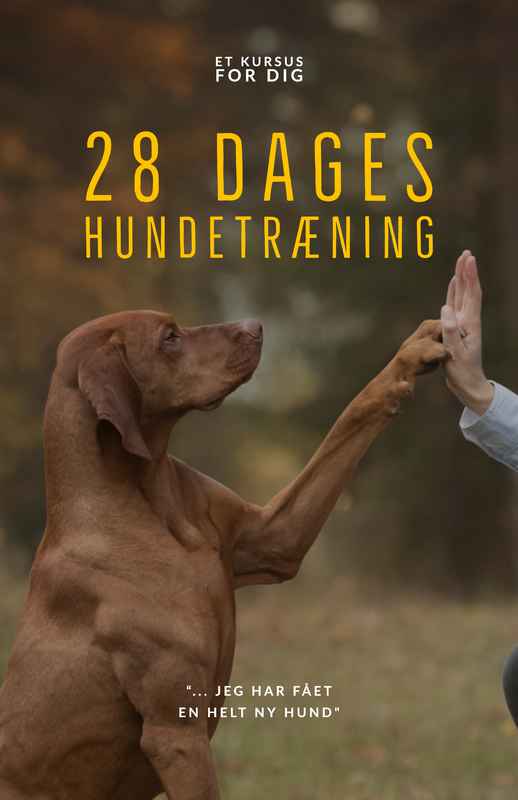 28 Dages hundetræning