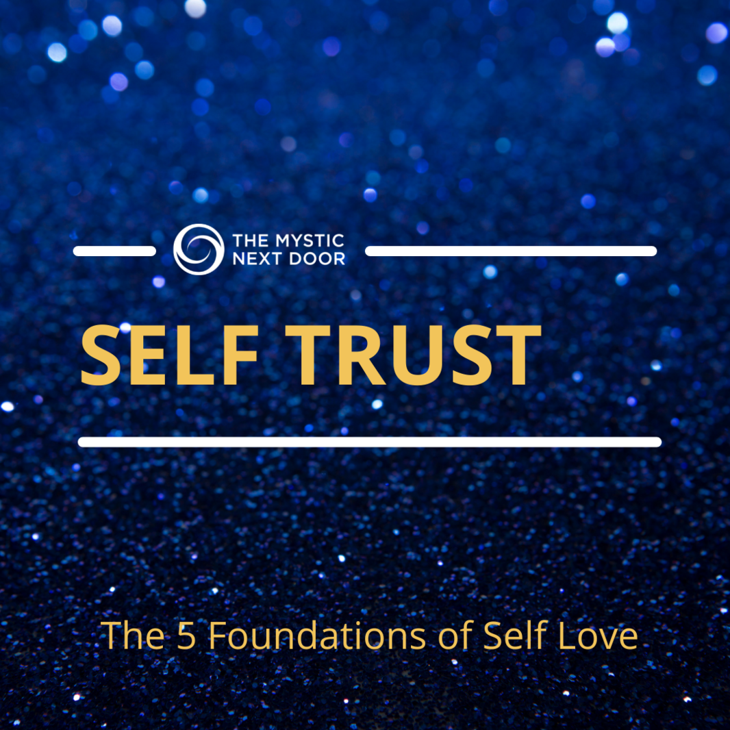 ACISL - Self Trust Icon