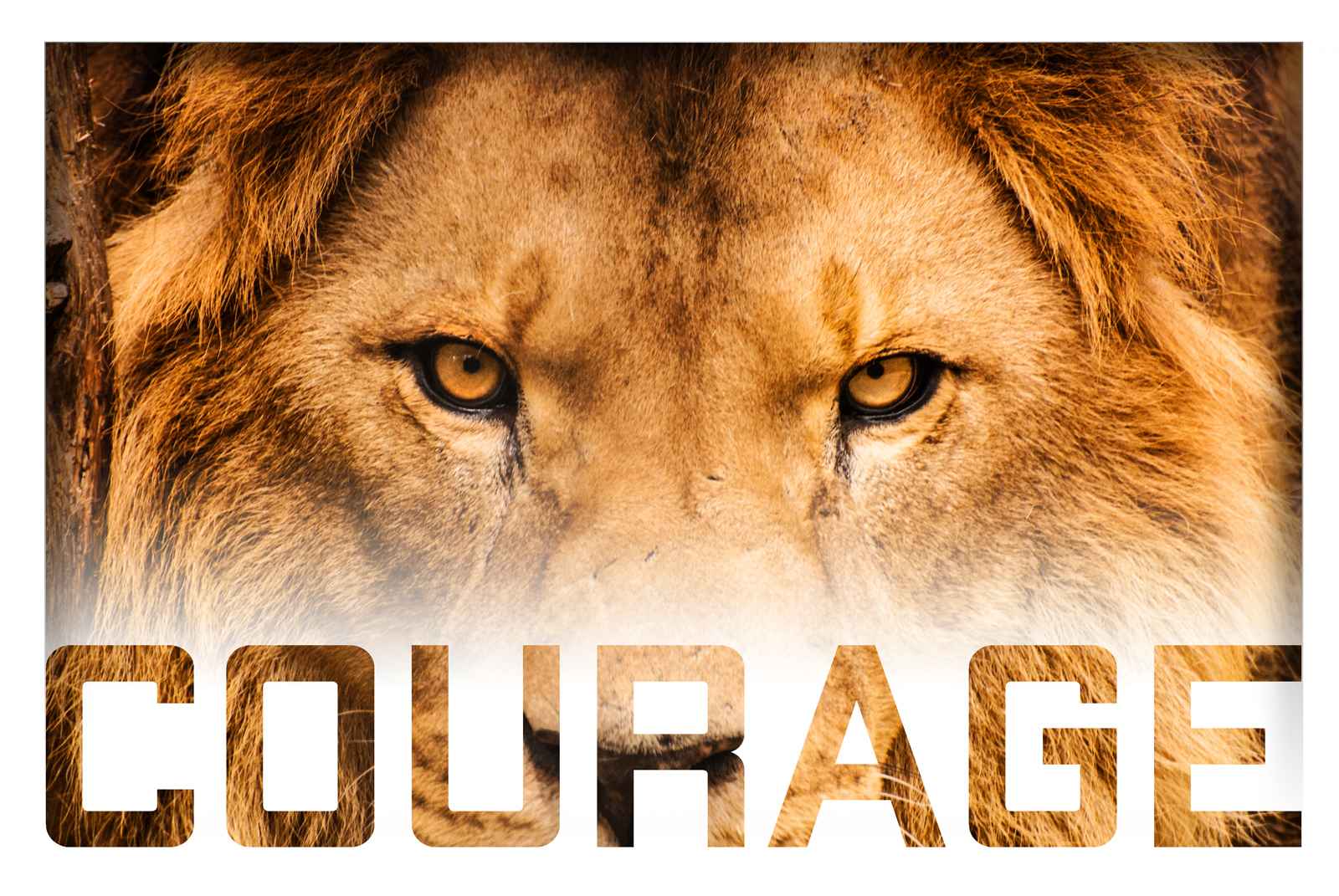 Courage5