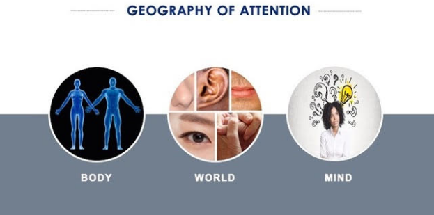 geography of attention