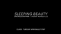 Show D Sleeping beauty
