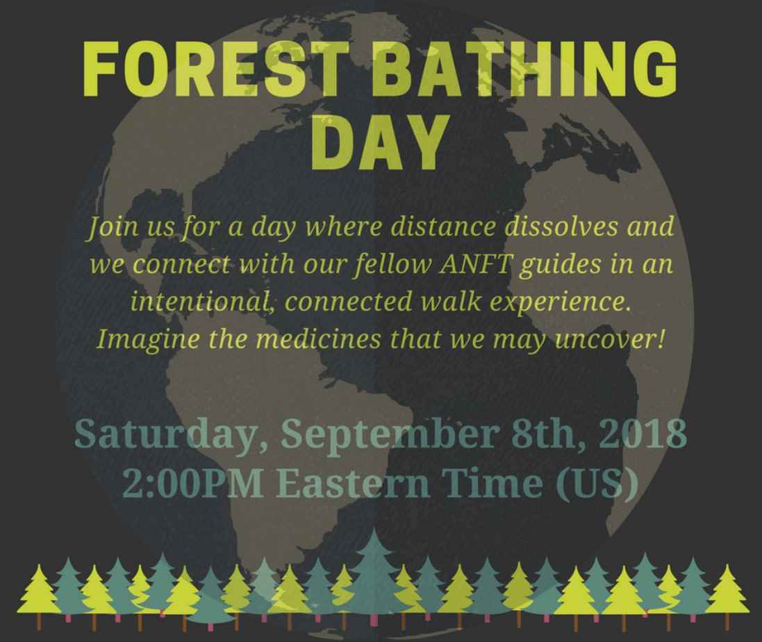 Forest Bathing Day 04