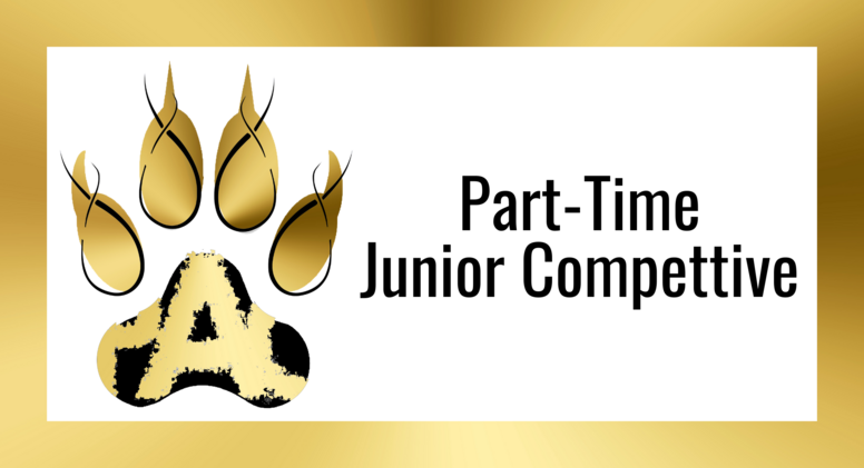 Part-Time Junior COMP