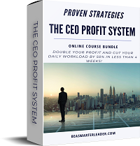 The CEO Profit System - Box June 2022 - smaller