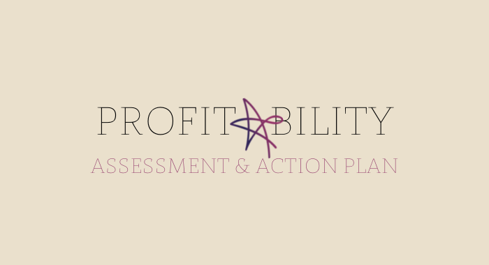 Profitability Assessment & Action Plan