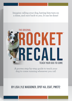 Rocket Recall™