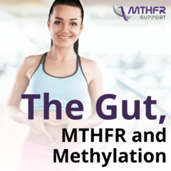 The Gut MTHFR and Methylation