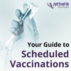 Your Guide to Scheduled Vaccinations