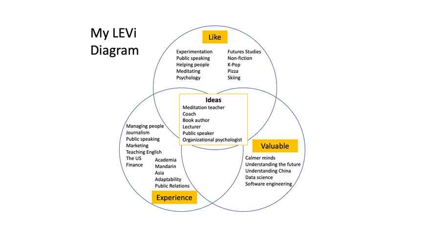 My LEVi Diagram