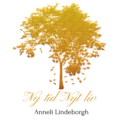 Ny Tid Nyt Liv logo