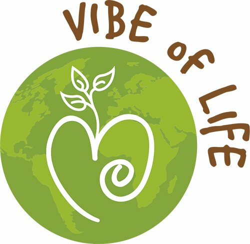Vibe of Life logo
