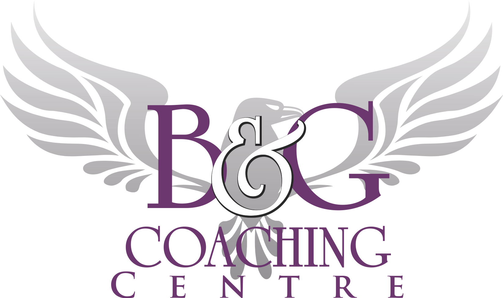 B&G Consultants Ltd logo