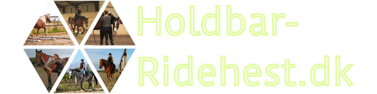 Holdbar Ridehest - Julie Herold & Jeannette Glerup logo