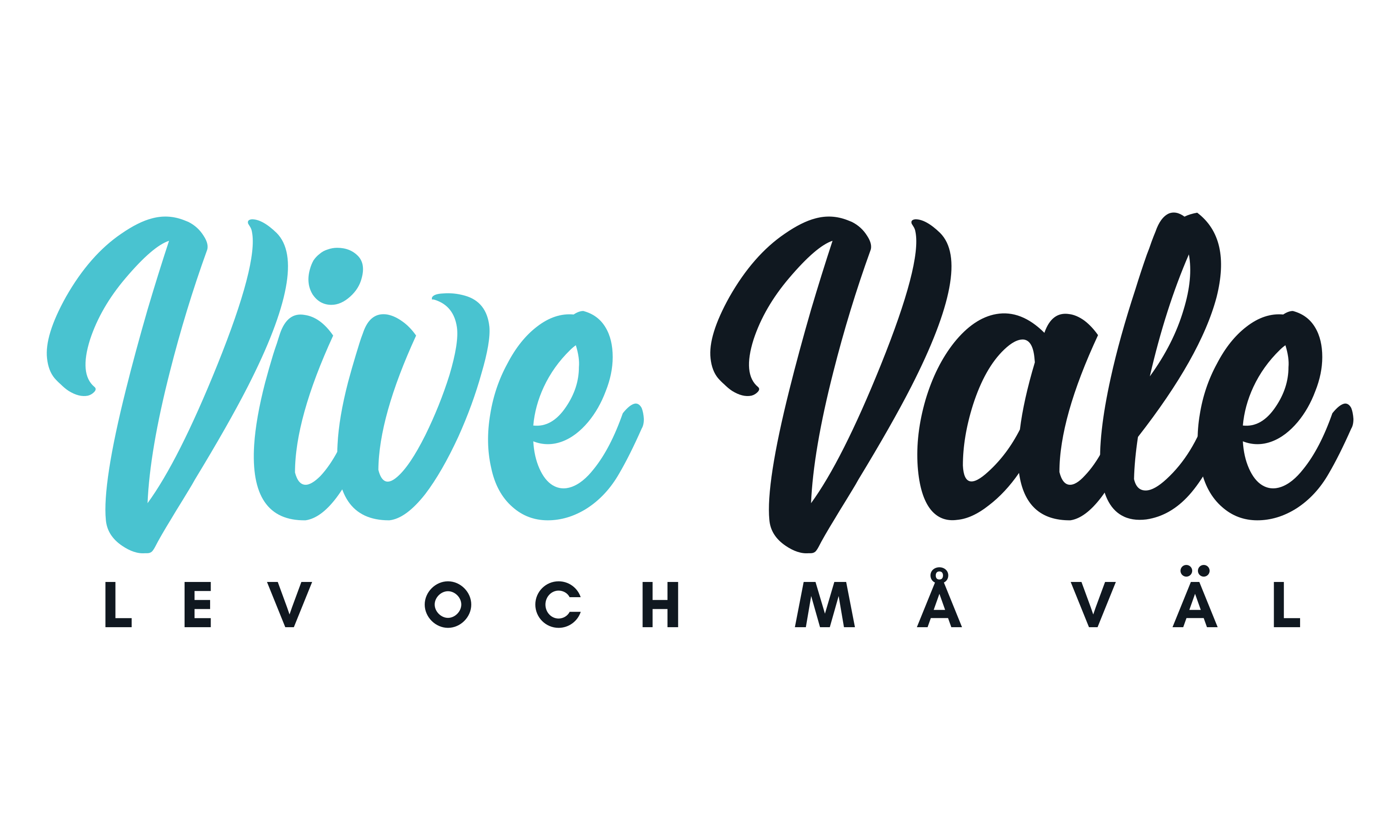 Vive Vale- Lev och Må Väl logo