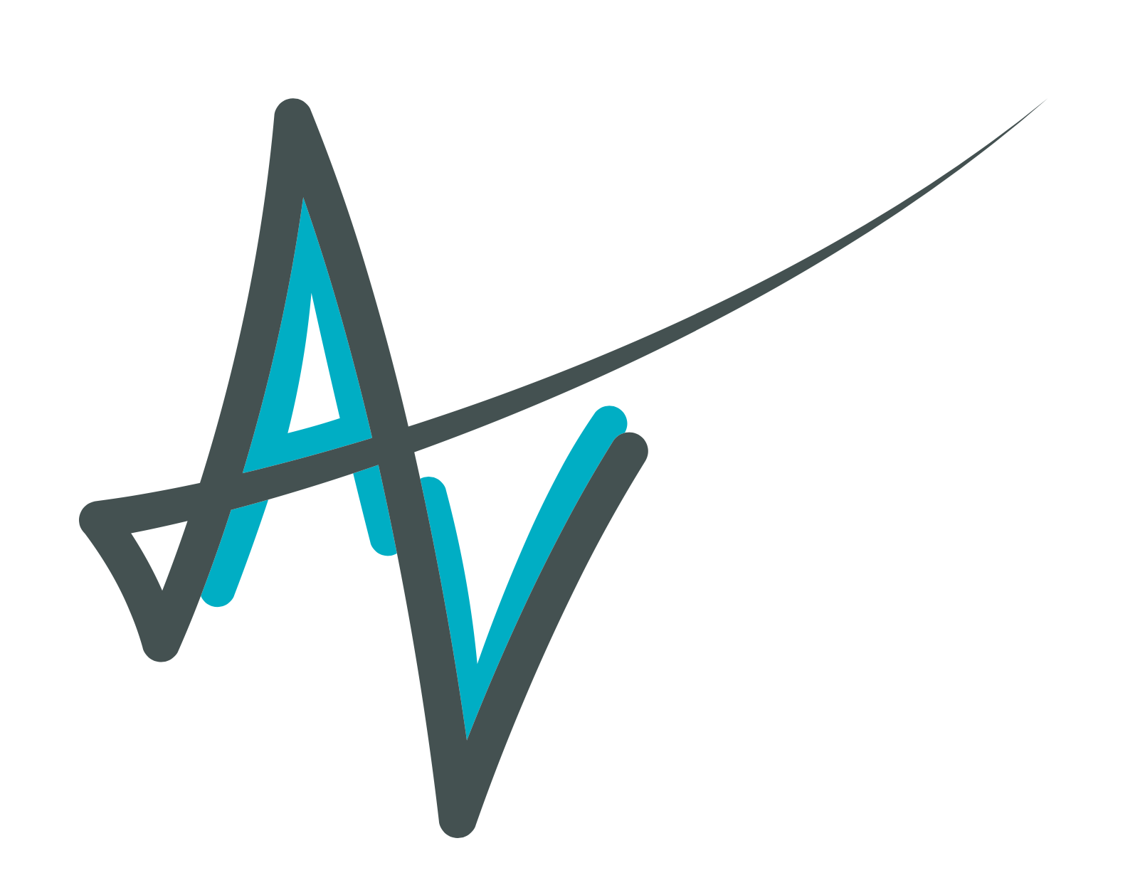 AV Interim &  Coaching logo