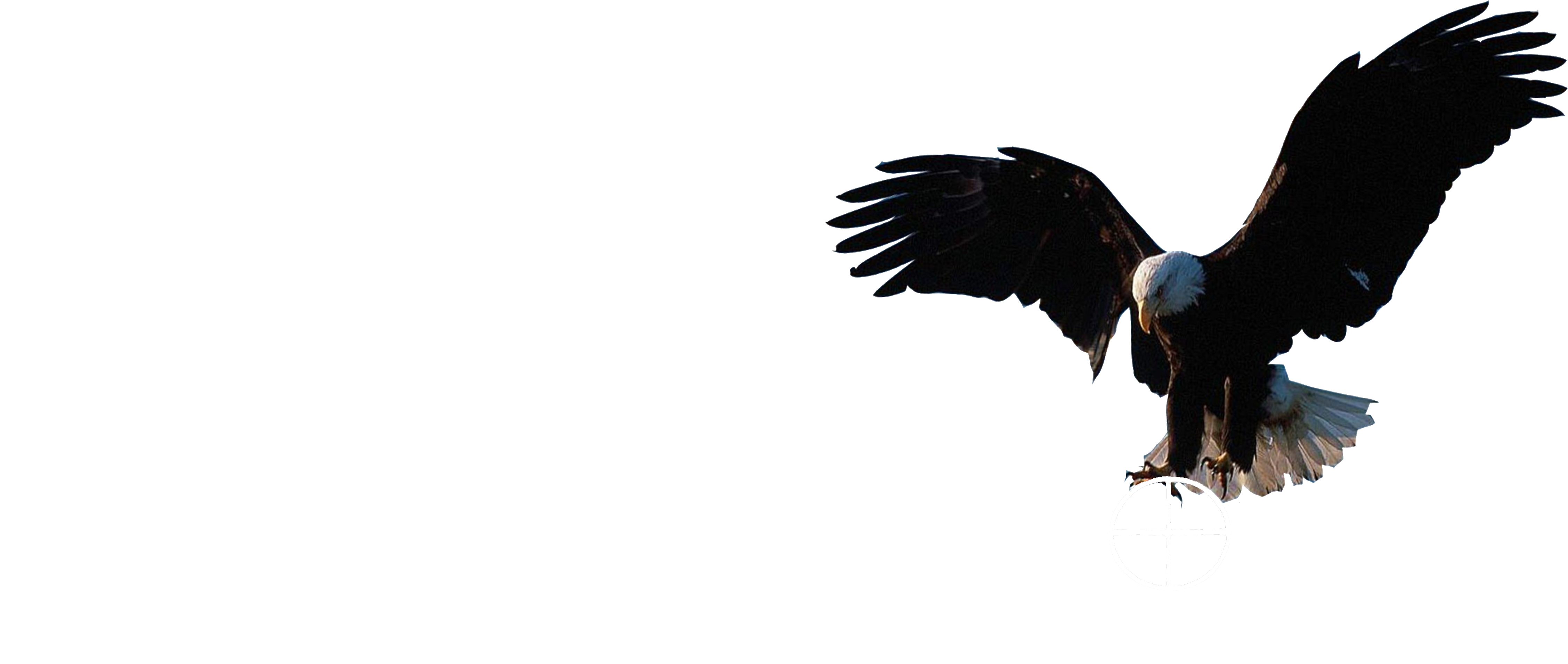 Eagleroad logo