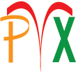 Pilkoss VeXst logo