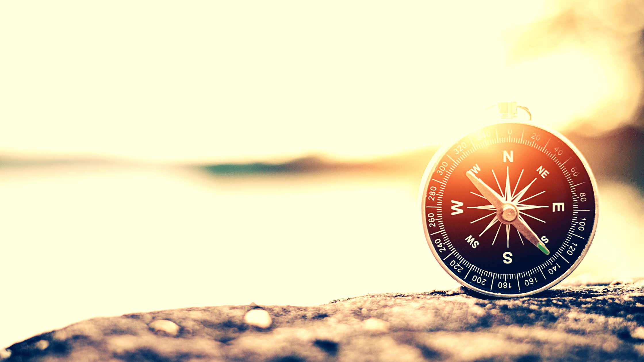 Guest Post: Be Prepared for a Crisis with the 7 Principles of the CEO’s ...