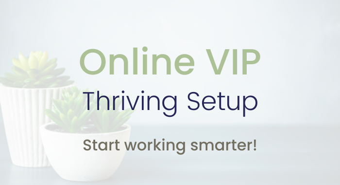 Thriving Setup - Online VIP
