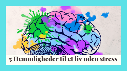 En hjerne i flere farver med teksten 5 hemmeligheder til et liv uden stress