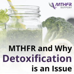 MTHFR and Why Detoxification Is an Issue