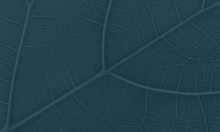 A2889543-A454-47EF-A670-810D05C613D1