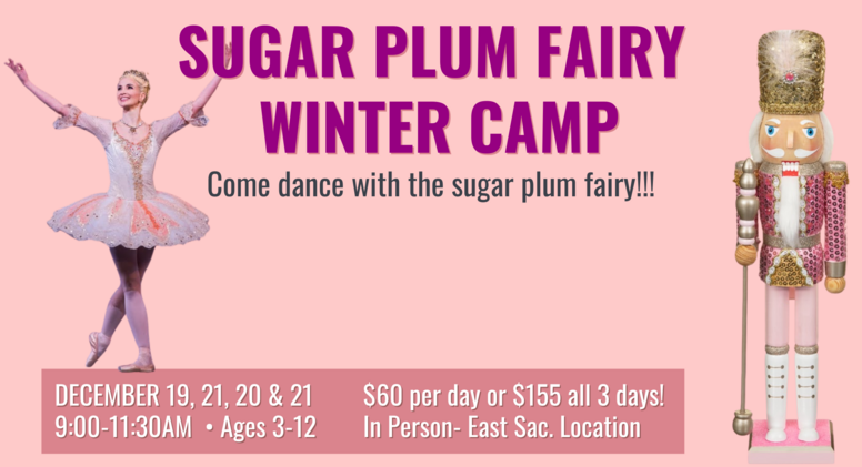  Sugar Plum Fairy Winter Camp