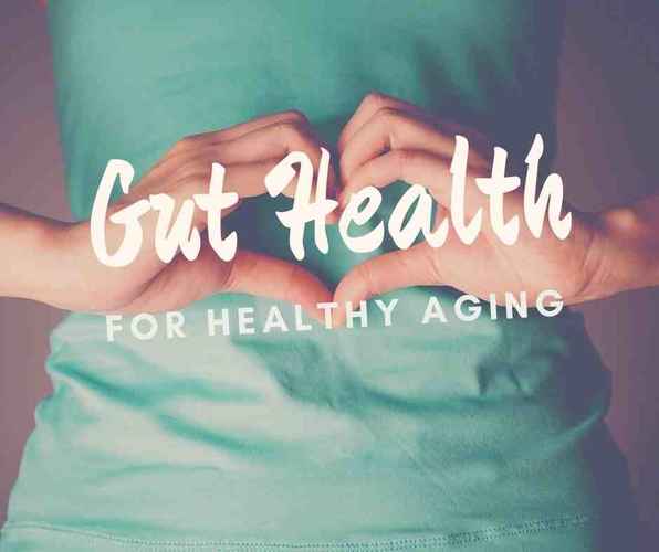 the-creative-crone-Gut-Health