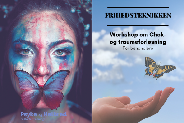Workshop - Chok og Traumeforløsning Frihedsteknikken - HINNERUP 18.08.23
