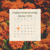 Orange Floral October CalendarInstagram Post