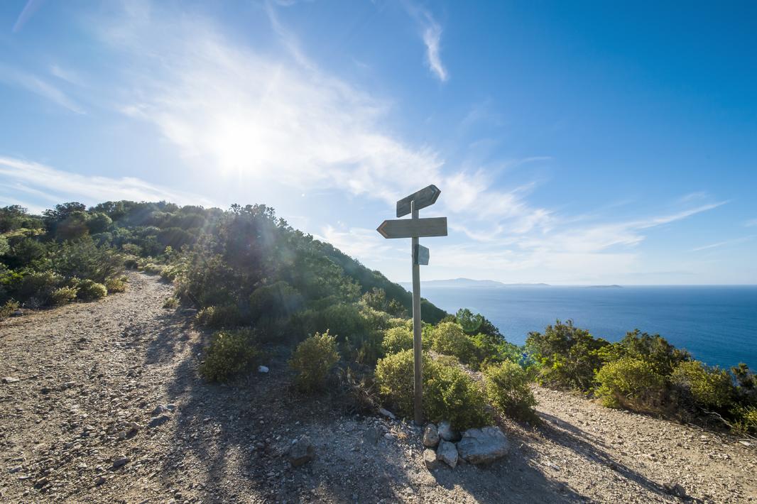 to veje ved stranden