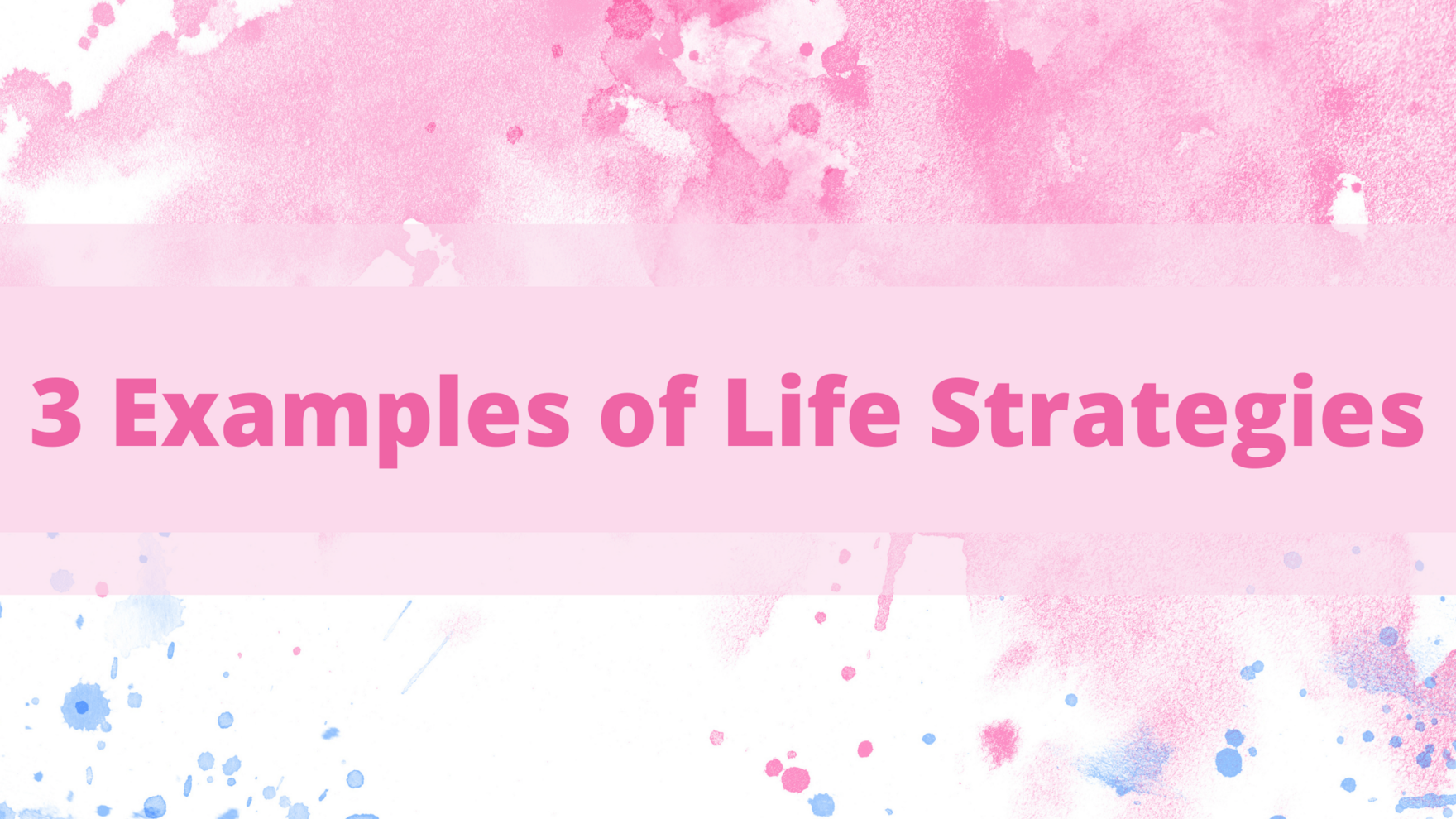 Blog - Strategic Life - 3 Examples of Life Strategies