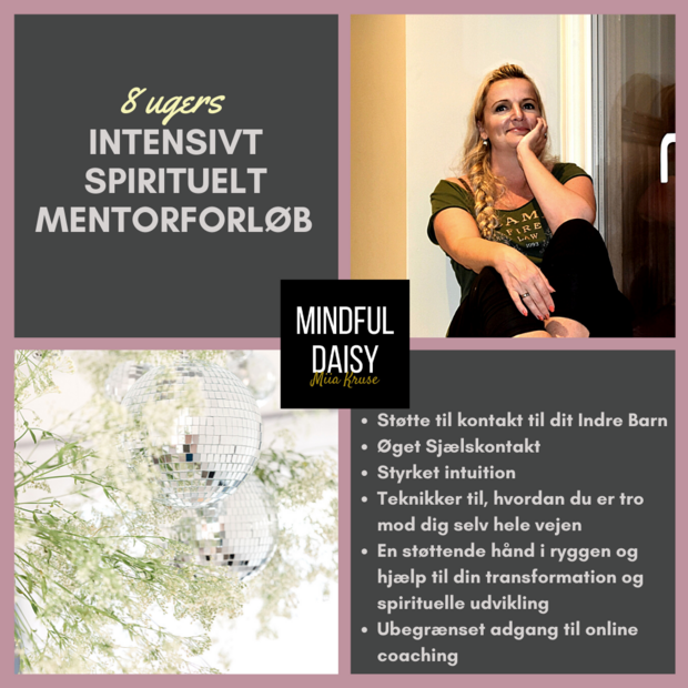 8 ugers intensivt mentorforløb til din passion