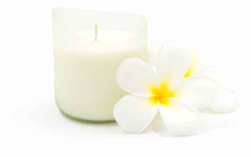 candle white orchid white background