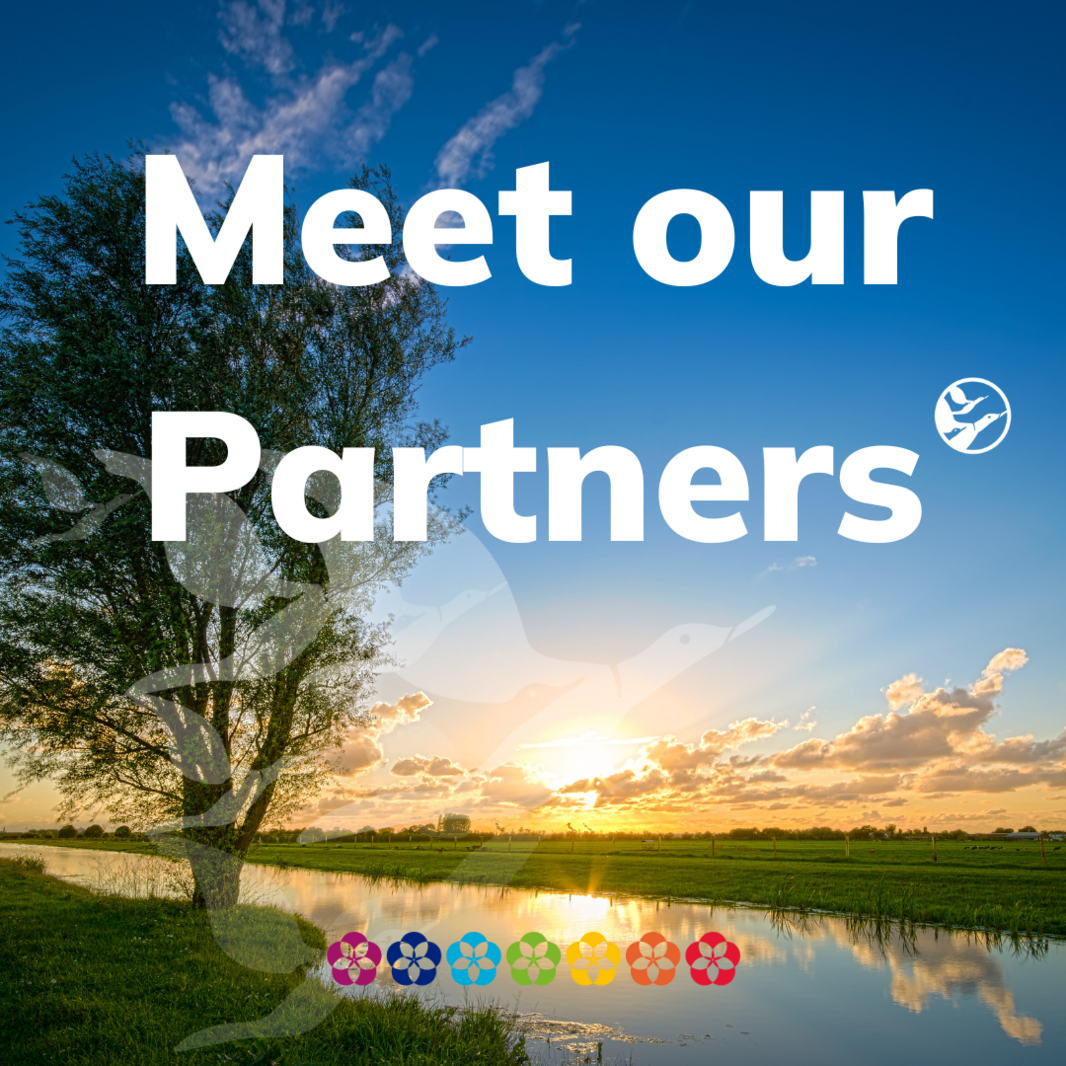 Meet our Partners