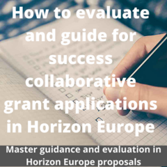 Evaluation and guidance in Horizon Europe for success
