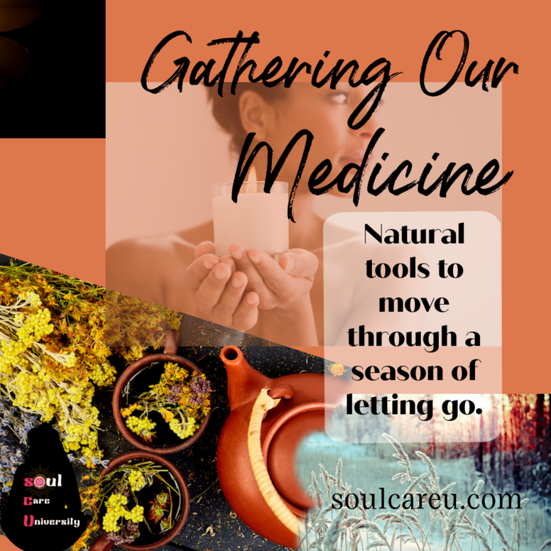 Gathering Our Medicine