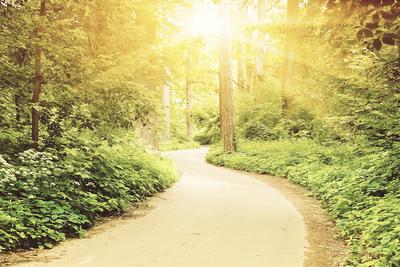 the dip faith path