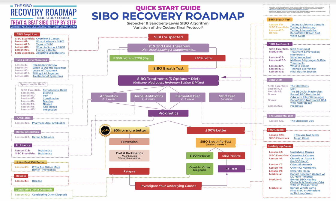 SIBO Recovery Roadmap IMAGE