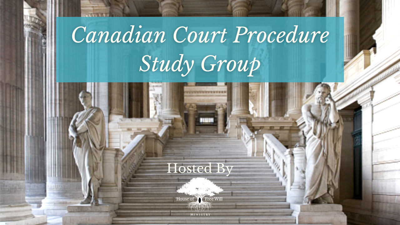 Canadian Court Procedure Study Group white logo
