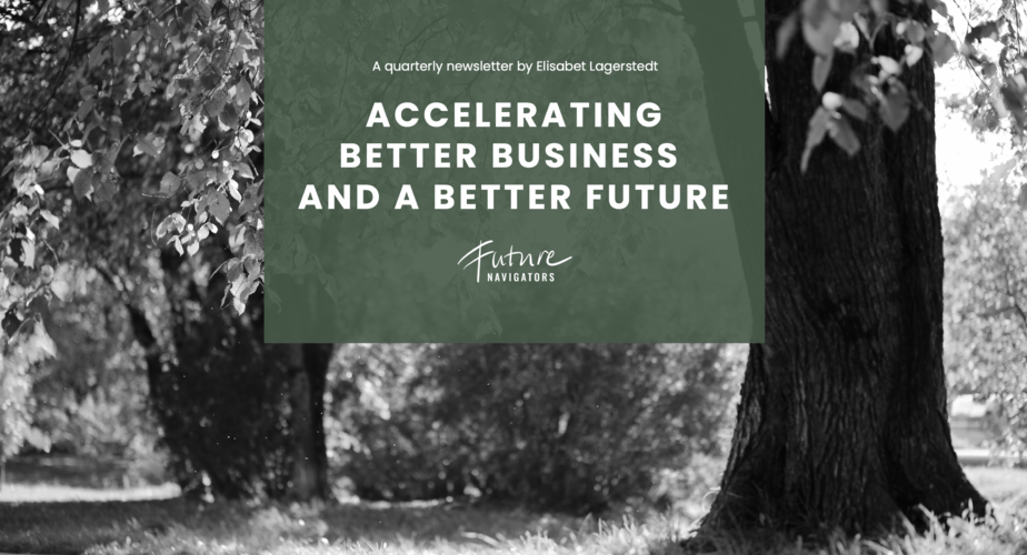 Accelerating Better Business and a Better Future by Elisabet Lagerstedt