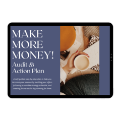 Make More Money Audit & Action Plan Ipad Cover