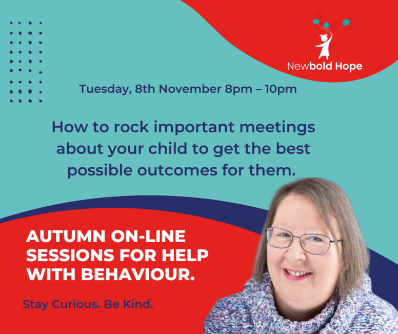 Webinar 9 Replay - How to Rock Important Meetings about your Child to get the Best Possible Outcomes for them 