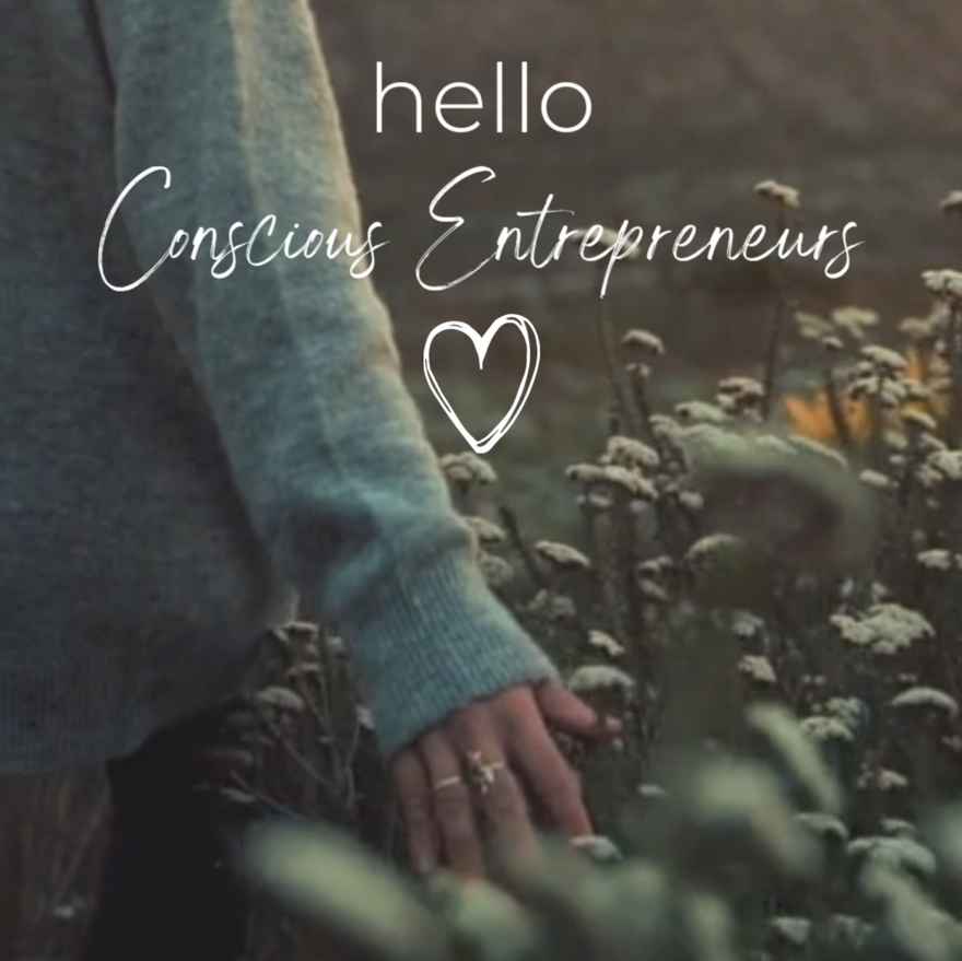 Hello Conscious Entrepreneurs