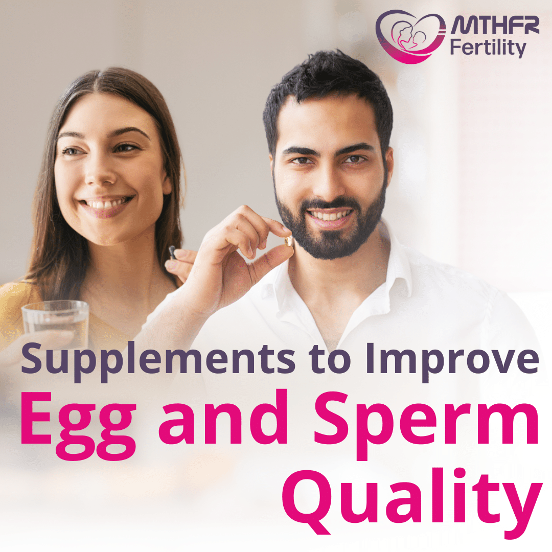 supplements-to-improve-egg-and-sperm-quality-replay